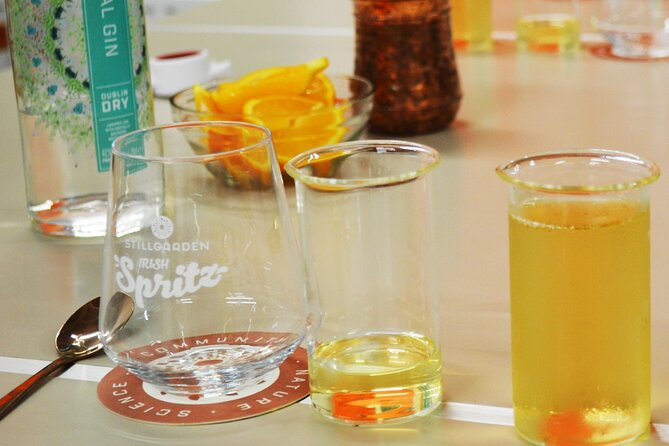 1-Hour Cocktail Masterclass Experience in Dublin - Who Should Book This Dublin Cocktail Masterclass?