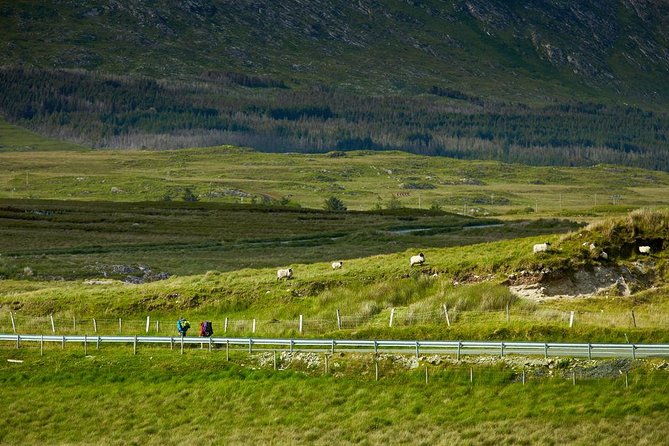 2-Day Western Ireland Tour from Dublin:Including Galway and Cliffs of Moher - Should you book this 2-day Western Ireland tour?