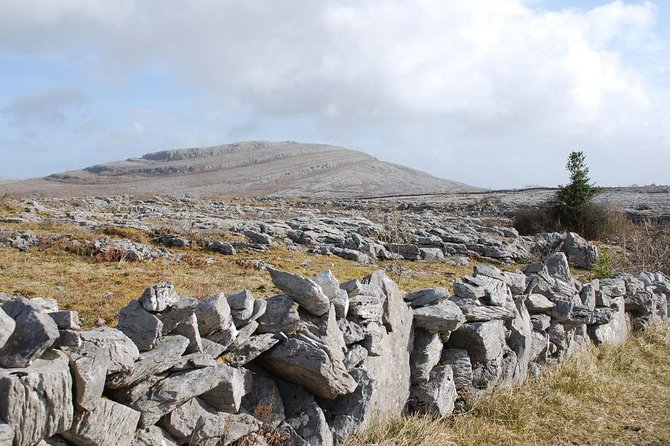 2-Day Wild Atlantic Way Tour From Dublin - The Mid-Afternoon Bus Change and Overnight on the Dingle Peninsula