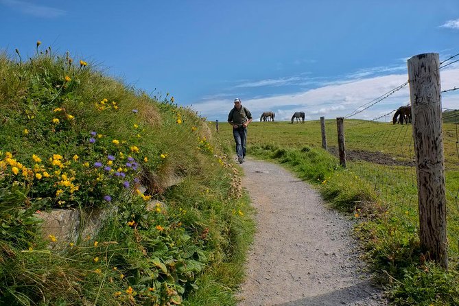 2-Day Wild Atlantic Way Tour From Dublin - Day Two on the Ring of Kerry Route: Waterfalls, Lakes, and Killarney Park