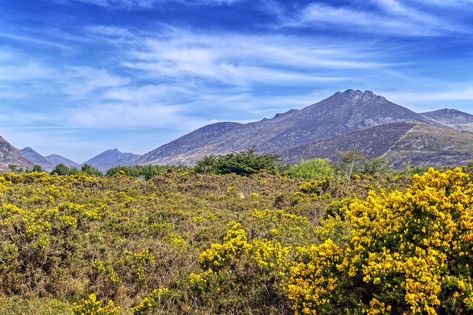 3-Day Discover Northern Ireland Small-Group Tour from Dublin - Mount Stewart in County Down, gardens plus estate museum time