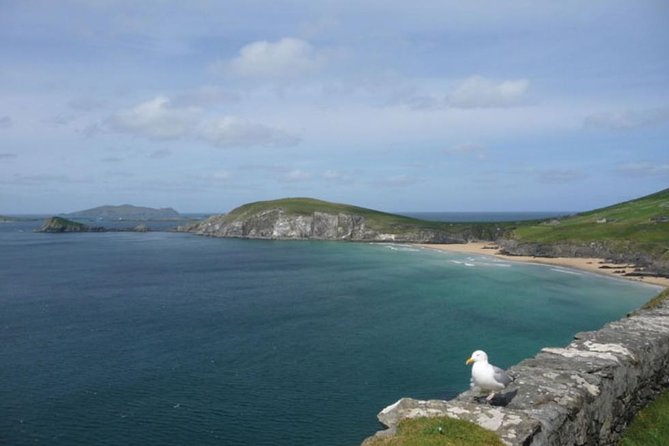 5-Day Northern Ireland and Atlantic Coast Small-Group Tour from Dublin - Day 4 in Connemara National Park: Twelve Bens and the Sky Road mindset