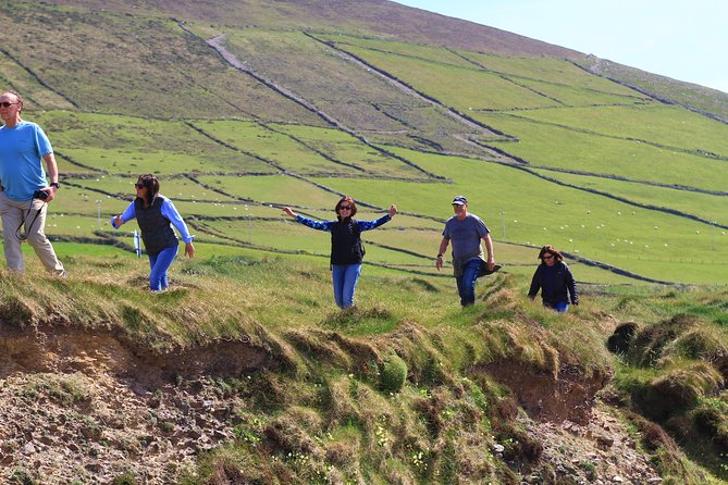 6-Day Magical Southern Explorer Small Group Tour - Burren Farm Experience, limestone country, and finishing in Galway