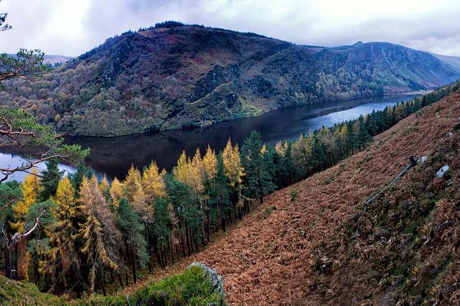 6-Day South of Ireland Tour from Dublin - Pacing, comfort, and who this trip suits best