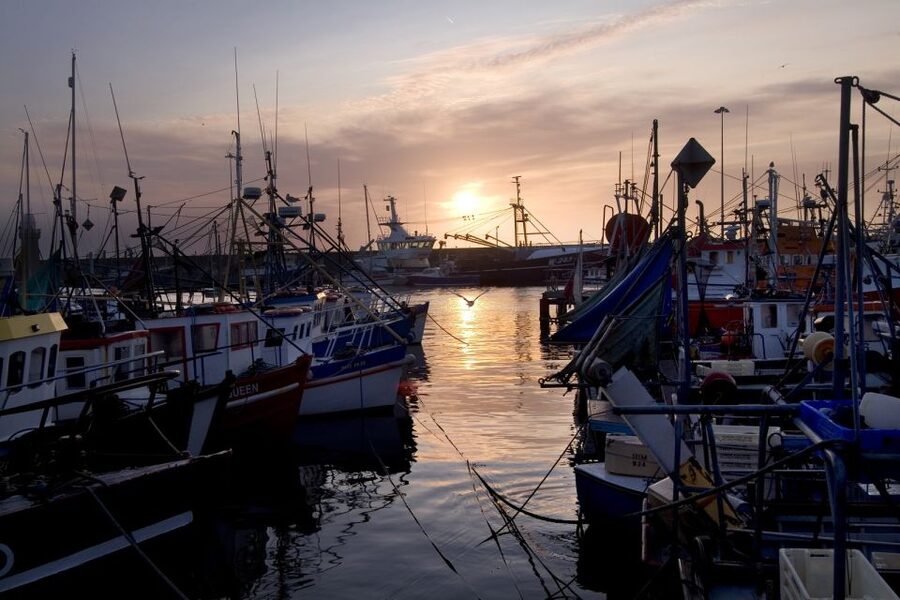 6-Day Tour of Southern Ireland from Dublin - The Cliffs of Moher: why this stop is a big deal