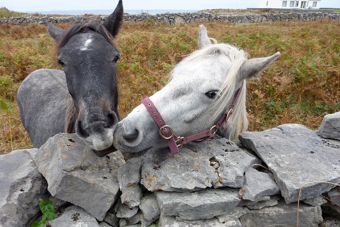 Aran Islands Scenic Flight and Galway Rail Tour from Dublin - Seven Churches and Kilronan Lunch: Quick Stops That Set the Day