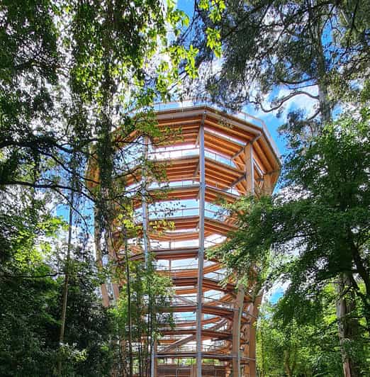 Avondale: Beyond the Trees Treetop Walk & Tower Entry Ticket - Avondale Forest Park Treetop Walk and Tower, the quick picture