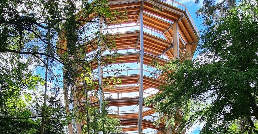 Avondale: Beyond the Trees Treetop Walk & Tower Entry Ticket - Price and the real cost of the day