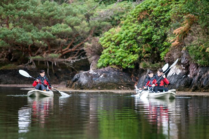 Beautiful Southwest Tour 2022 - Day 6 Dingle Peninsula: A Short Visit That Still Feels Like Ireland