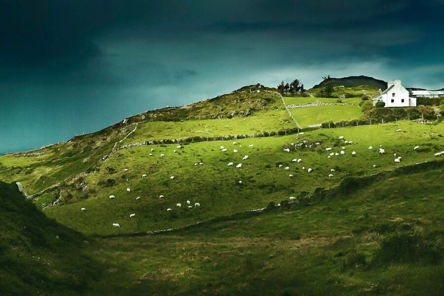 Best of Ireland 6-Day Backpackers Economy Tour - Key highlights to know before you go