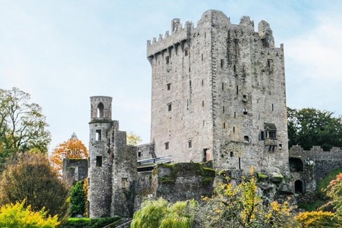 Blarney Castle and The Rock of Cashel with Private Chauffeur Tour - Why this private Blarney and Cashel day feels easier than it should