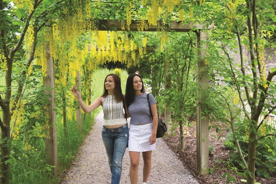Blarney Castle Full-Day Tour from Dublin - Rock of Cashel: the early photo stop that keeps the day moving