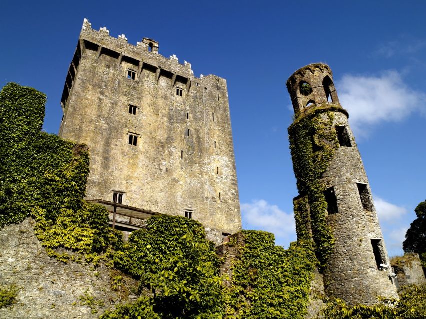 Blarney Castle Full-Day Tour from Dublin - Witch’s Cave, castle gardens, and the Blarney Woollen Mills stop