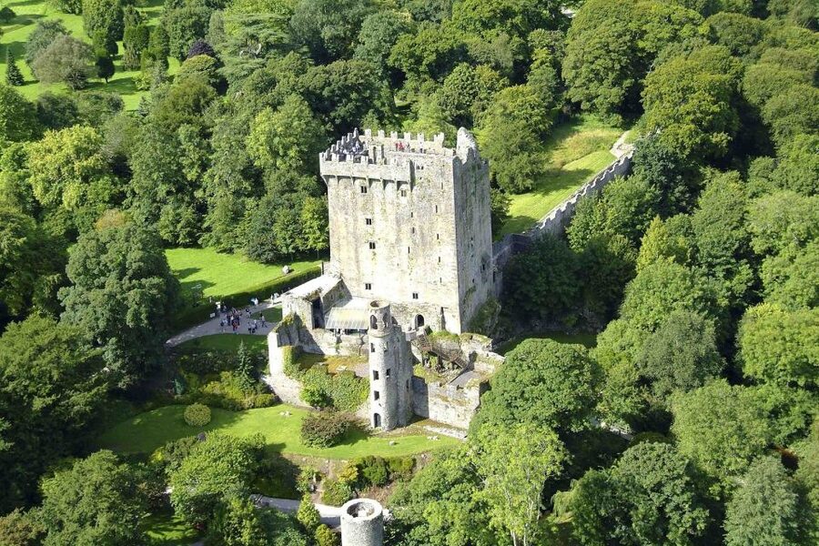 Blarney Castle Full-Day Tour from Dublin - Who this tour fits best, and who might want a different plan