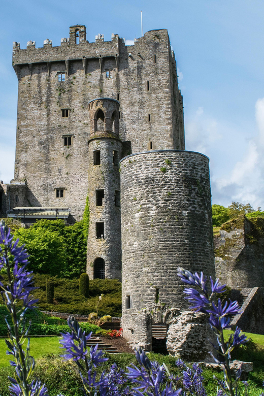 Blarney Castle: Private Guided Day Tour from Dublin - Entering Blarney Castle: Gardens First, Then the Stone