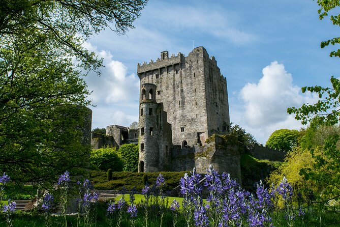 Chauffeur Blarney and Cork Private Day Tour from Dublin - Why This Cork and Blarney Day Feels Smarter Than DIY