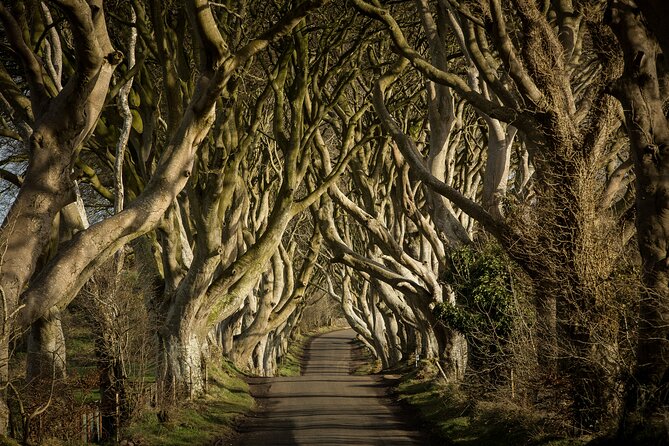Chauffeur Giants Causeway & Belfast Private Day Tour From Dublin - Back to Dublin: highway drive and how to manage the end of day