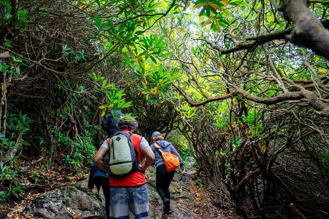 City Explorer: Howth Private Day Trip - Weather reality check: a drizzly day is still a good day here