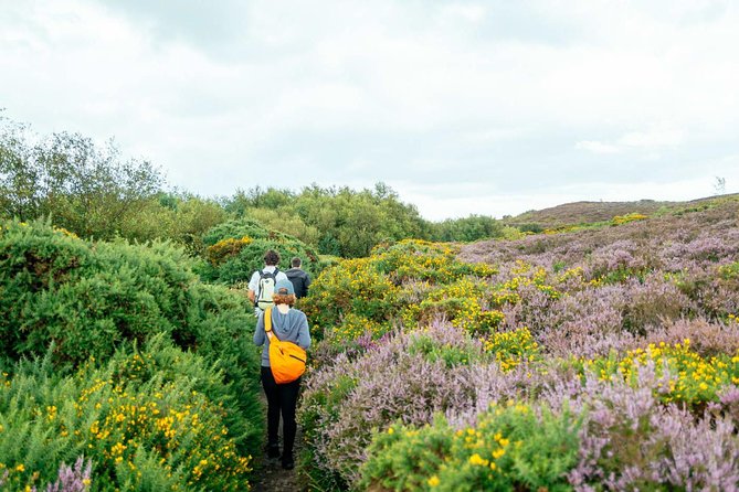 City Explorer: Howth Private Day Trip - Meeting in Mountjoy, ending at Howth Harbour