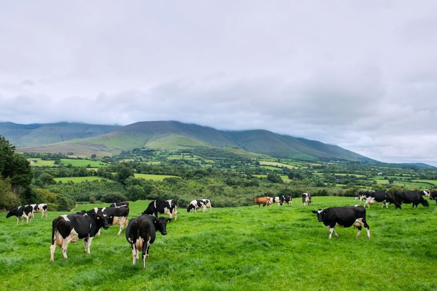 Cliffs of Moher and Blarney 2-Day Tour from Dublin - Key highlights to notice before you book