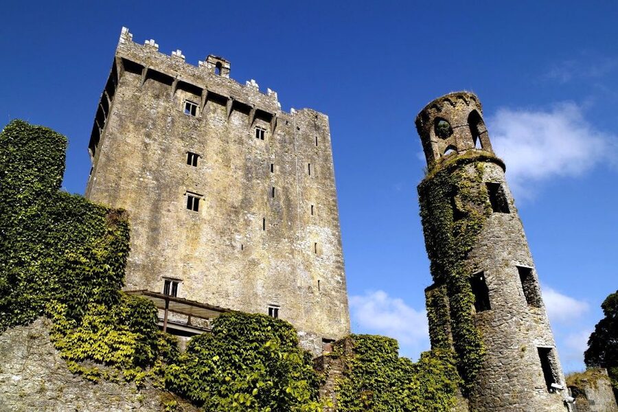 Cliffs of Moher and Blarney 2-Day Tour from Dublin - Cork time that is actually useful: English Market for lunch