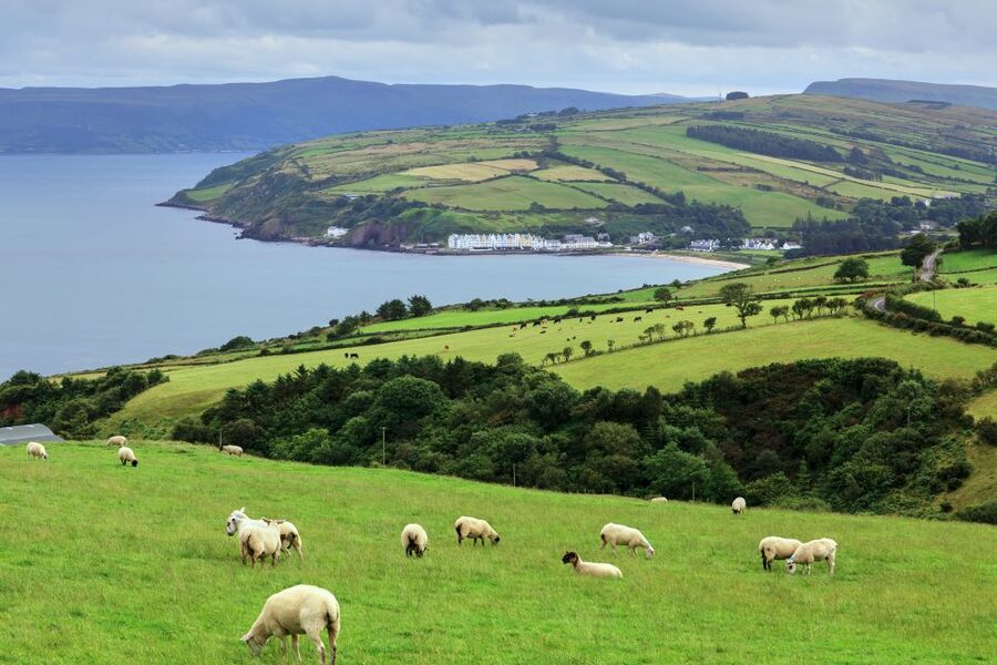Cliffs of Moher and Blarney 2-Day Tour from Dublin - Your overnight in Cork: included breakfast, lodging quality varies