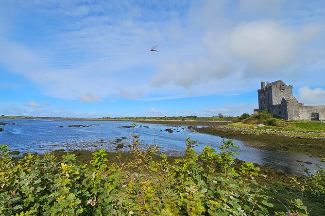 Cliffs of Moher from Dublin Full Day - Private Driver - Price and Logistics: Does This $1,435 Per Group Make Sense?