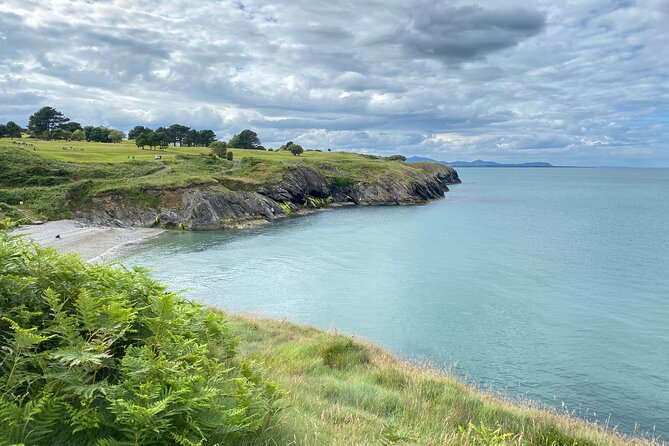 Day Tour from Dublin to Wicklow: Cliffs, Heritage, Wildlife, Gaol - Key highlights you will feel on the day