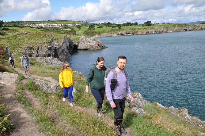 Day Tour from Dublin to Wicklow: Cliffs, Heritage, Wildlife, Gaol - Wicklow Town: Vikings, St Patrick’s landing story, and Norman Black Castle
