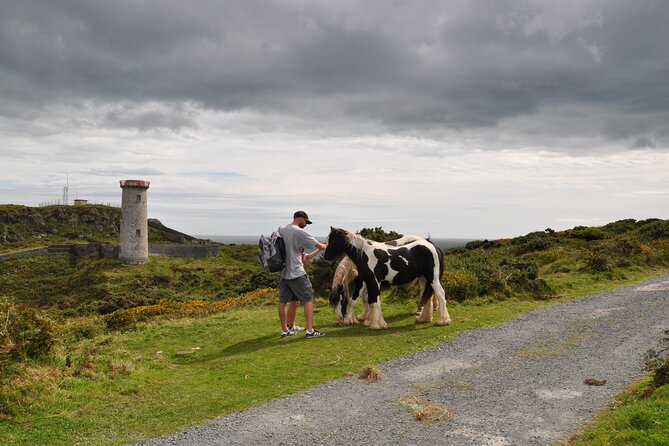 Day Tour from Dublin to Wicklow: Cliffs, Heritage, Wildlife, Gaol - Wicklow Gaol: a serious heritage stop you should not rush
