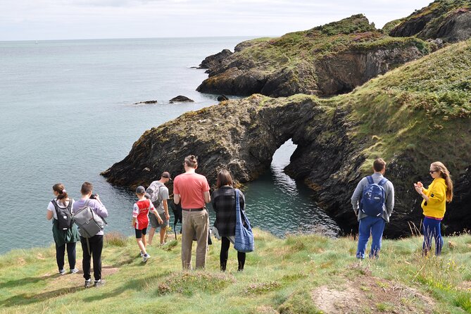 Day Tour from Dublin to Wicklow: Cliffs, Heritage, Wildlife, Gaol - Price and value: does it make sense for your group size?