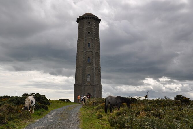 Day Tour from Dublin to Wicklow: Cliffs, Heritage, Wildlife, Gaol - Who should book this Wicklow-focused private tour