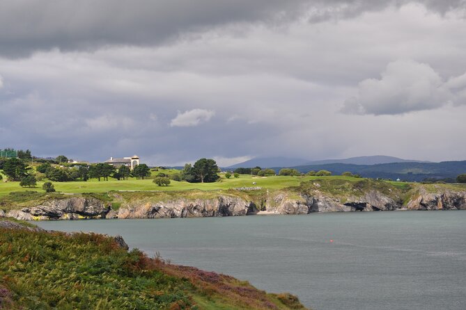 Day Tour from Dublin to Wicklow: Cliffs, Heritage, Wildlife, Gaol - What to actually look for during wildlife time