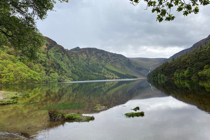 Day Tour from Dublin: Wicklow Mountains, Glendalough, Powerscourt - A private Wicklow escape that still feels personal