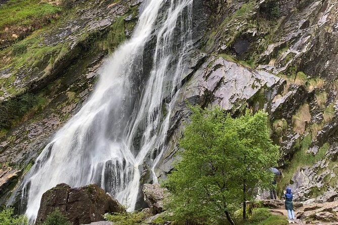 Day Tour from Dublin: Wicklow Mountains, Glendalough, Powerscourt - Price and value: what your money buys in the small-group format
