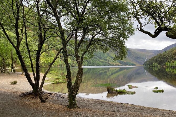 Day Tour from Dublin: Wicklow Mountains, Glendalough, Powerscourt - Pickup from Dublin, in a way that reduces stress