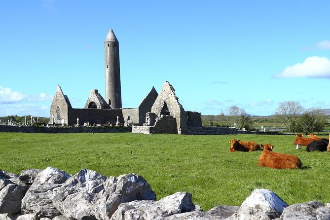 Day trip to Cliffs of Moher & Bunratty Castle and Ennis - Galway on your schedule: Shop Street, statues, and cathedral time