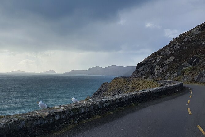Dublin Airport to Galway ,Private Chauffeur Service - Onboard Comfort: What’s Included So You Don’t Have to Think