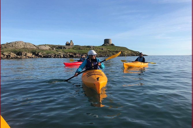 Dublin Bay Seal Kayaking Safari at Dalkey - Key things that make this Dalkey seal kayak safari special