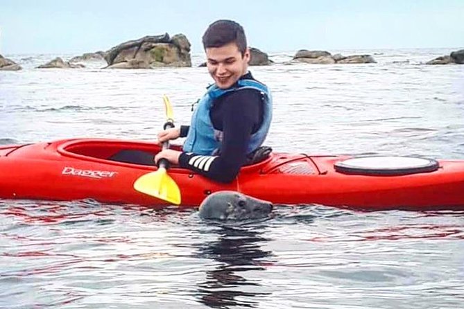 Dublin Bay Seal Kayaking Safari at Dalkey - Setting Out From Bullock Harbour, Then Getting Coastal Fast