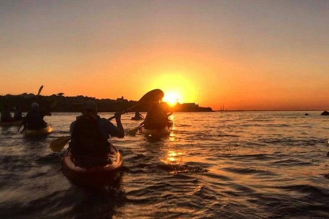 Dublin Bay Seal Kayaking Safari at Dalkey - Paddling Dublin Bay in a UNESCO biosphere setting