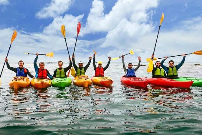 Dublin Bay Seal Kayaking Safari at Dalkey - Seal time in Dublin Bay, close encounters with respectful distance
