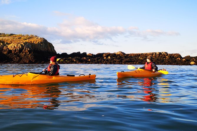 Dublin Bay Seal Kayaking Safari at Dalkey - Birdlife, history stops, and what makes the guiding feel real