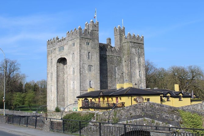 Dublin City Private Award Winning Luxury Car Tour - The Irish Rock ’N’ Roll Museum: a fun pivot halfway through