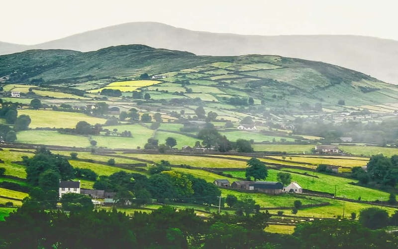 Dublin: Cliffs of Moher, Bunratty Castle and Ennis Day Trip - Bus ride realities: timing, where to sit for ocean views, and comfort notes