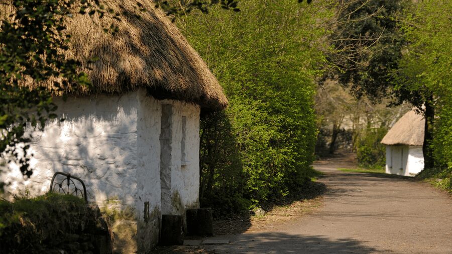 Dublin: Cliffs of Moher, Ennis, & Bunratty Castle Day Tour - Bunratty Castle and Folk Park: from Viking trade post to 1425 walls