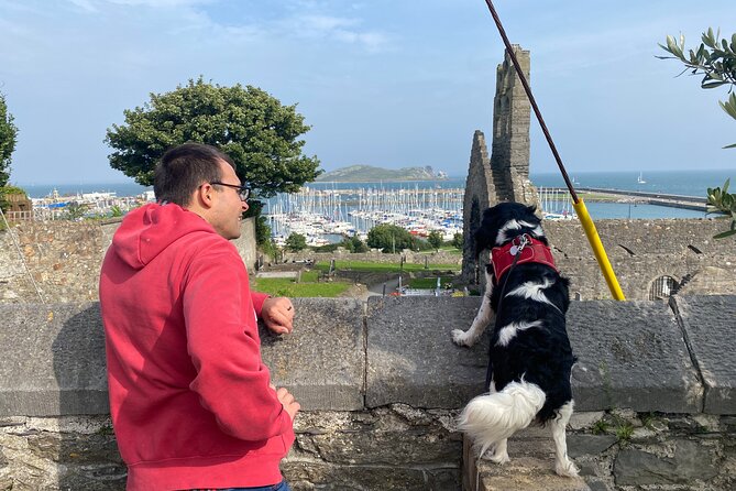 Dublin Coastal Hike and Pints with A local & His Dog Private tour - Howth Lighthouse and St. Mary’s Abbey ruins, two kinds of history