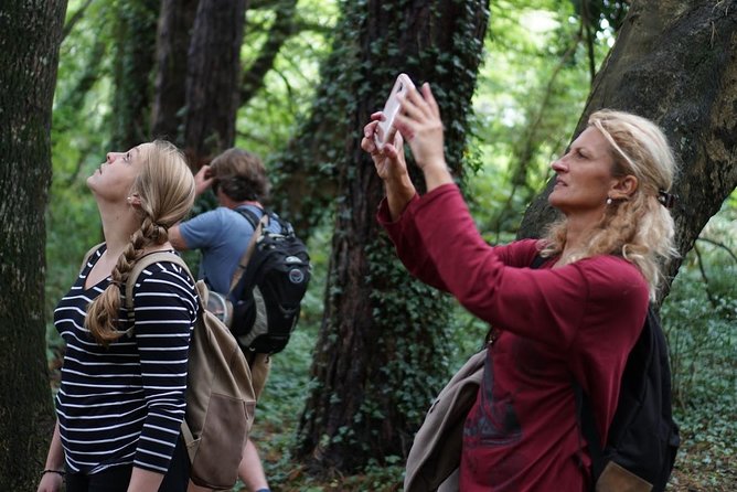 Dublin Coastal Hike with Howth Adventures - St Mary’s Abbey stop: old stones and Viking roots