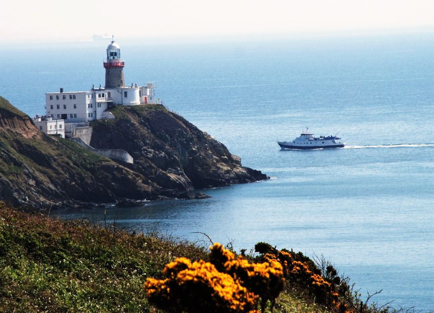 Dublin: Dublin Bay Cruise from Dun Laoghaire to Howth - Bull Island and wildlife spotting without the pressure