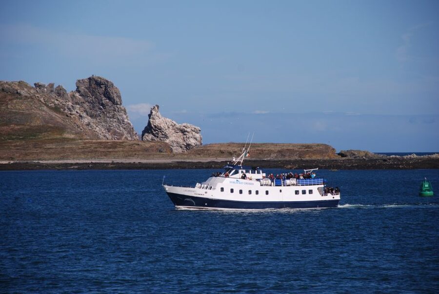 Dublin: Dublin Bay Cruise from Howth to Dun Laoghaire - Key highlights worth circling